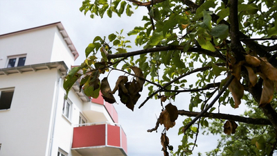 Klimaschutzgesetz Massivbau
